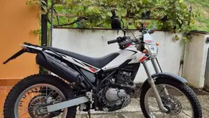 Betamotor Alp 200 (2009 - 17)  (2)