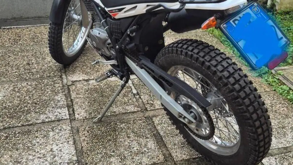 Betamotor Alp 200 (2009 - 17)  (6)