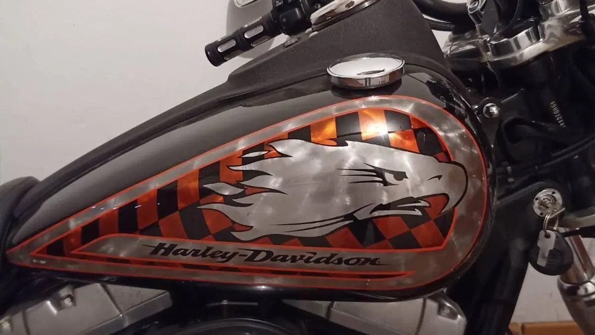 Harley-Davidson 1584 Street Bob (2008 - 15) - FXDB  (4)