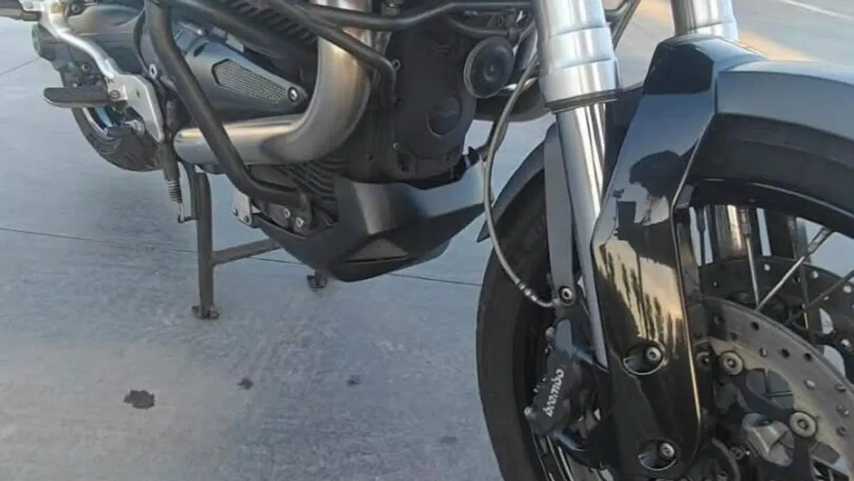 Moto Guzzi Stelvio 1200 4V (2008 - 10)  (11)