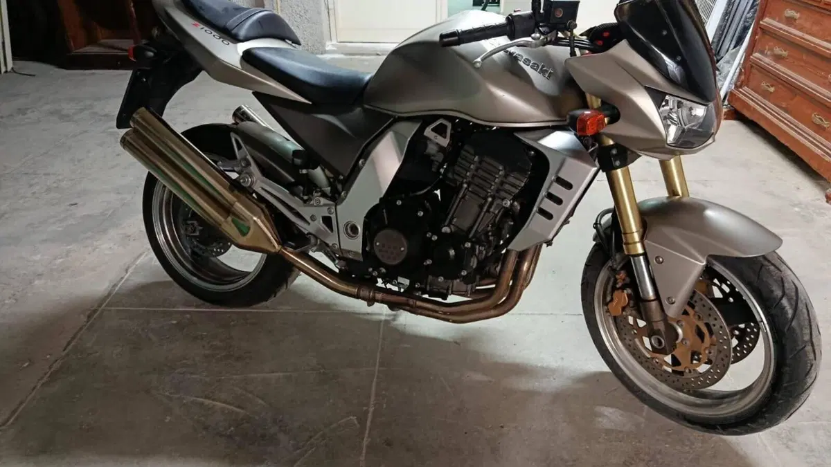 Kawasaki Z 1000 (2003 - 06)  (4)