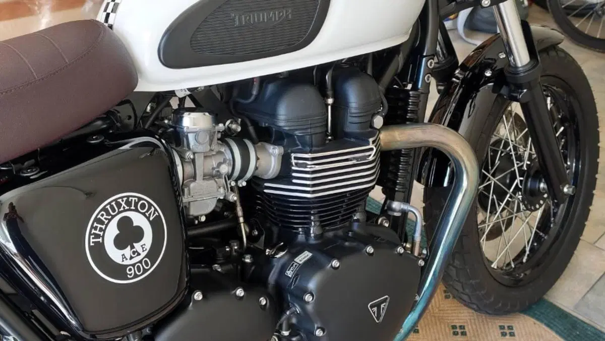Triumph Thruxton 900 ACE (2014 - 15)  (4)