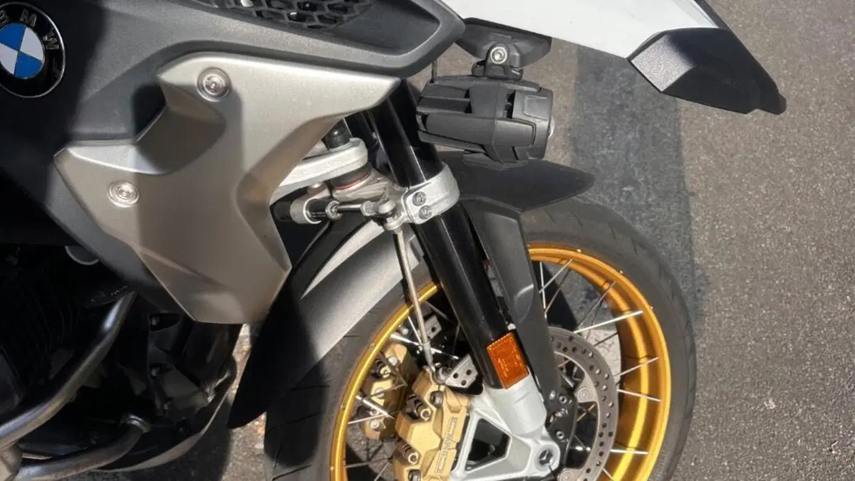 Bmw R 1250 GS (2019 - 20)  (5)