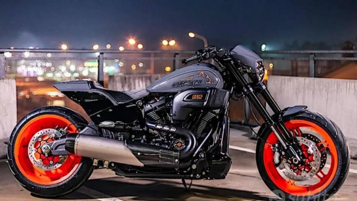 Harley-Davidson 114 FXDR (2019 - 20) 