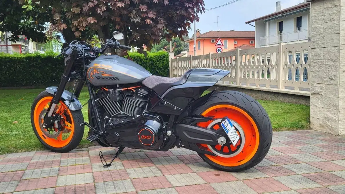 Harley-Davidson 114 FXDR (2019 - 20)  (2)