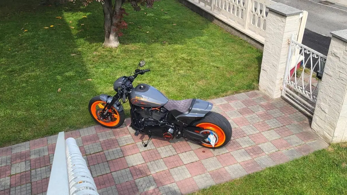 Harley-Davidson 114 FXDR (2019 - 20)  (3)