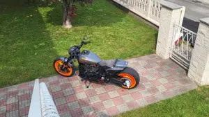 Harley-Davidson 114 FXDR (2019 - 20)  (3)