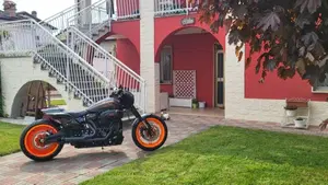 Harley-Davidson 114 FXDR (2019 - 20)  (4)