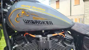 Harley-Davidson 114 FXDR (2019 - 20)  (10)