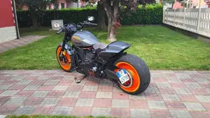 Harley-Davidson 114 FXDR (2019 - 20)  (11)