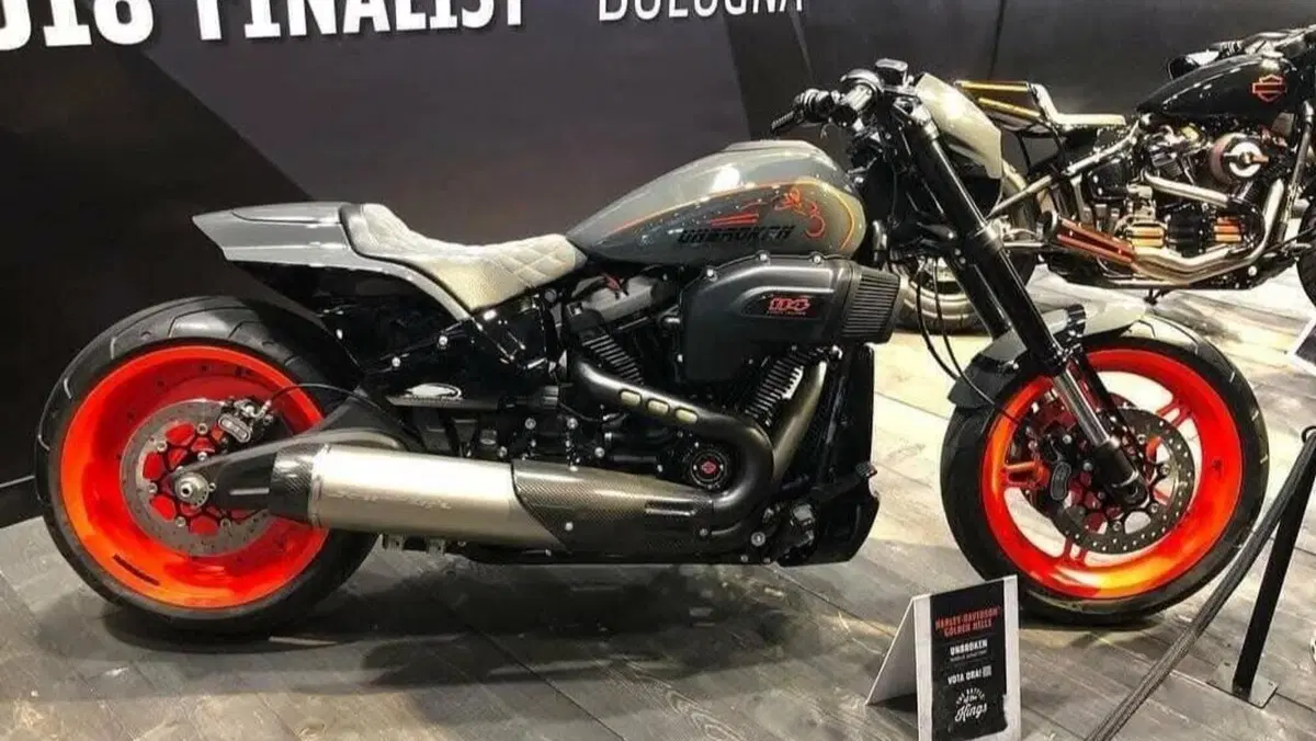 Harley-Davidson 114 FXDR (2019 - 20)  (12)