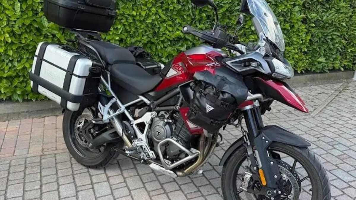 Triumph Tiger 1200 GT Pro (2024 - 26)  (3)