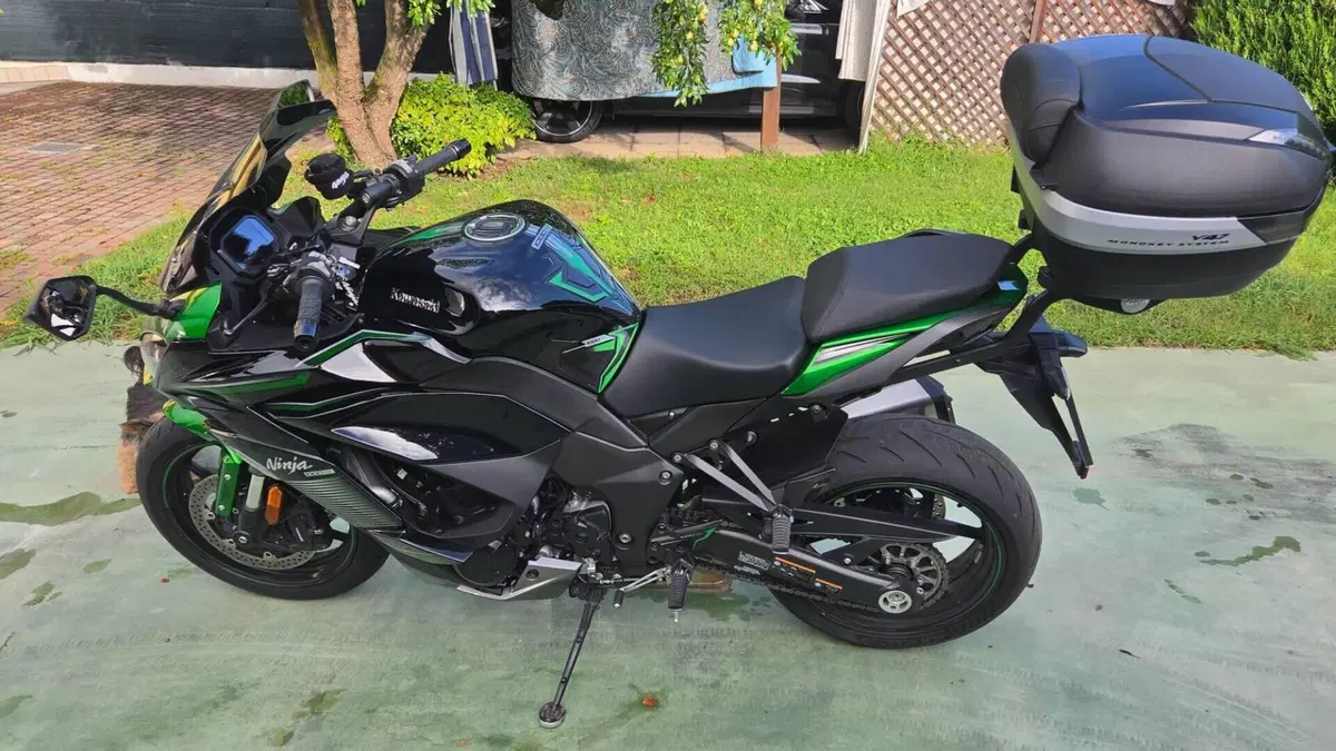 Kawasaki Ninja 1000 SX (2021 - 24)  (3)