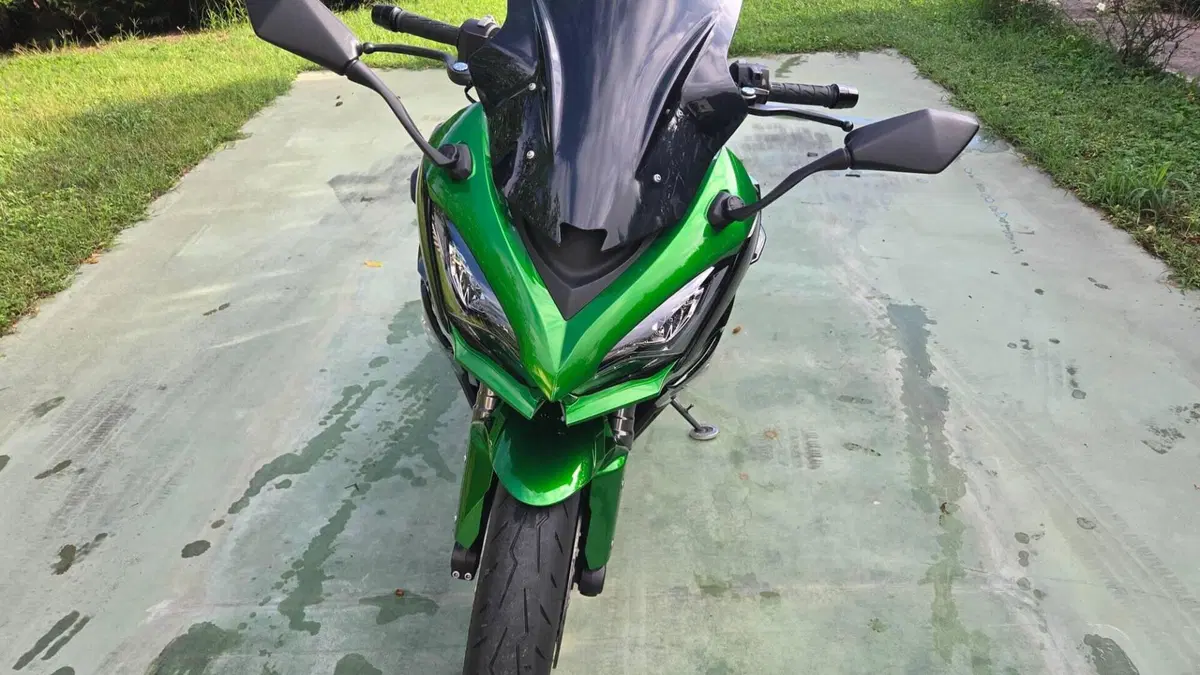 Kawasaki Ninja 1000 SX (2021 - 24)  (4)