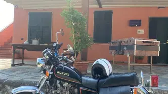 Suzuki 