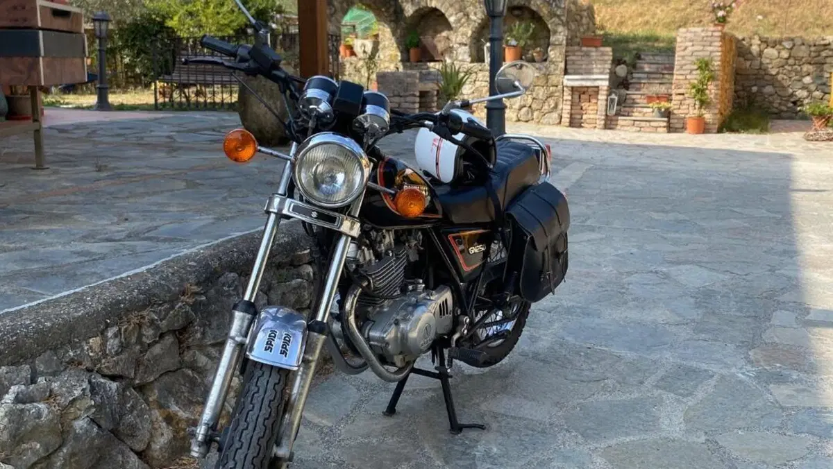 Suzuki   (3)