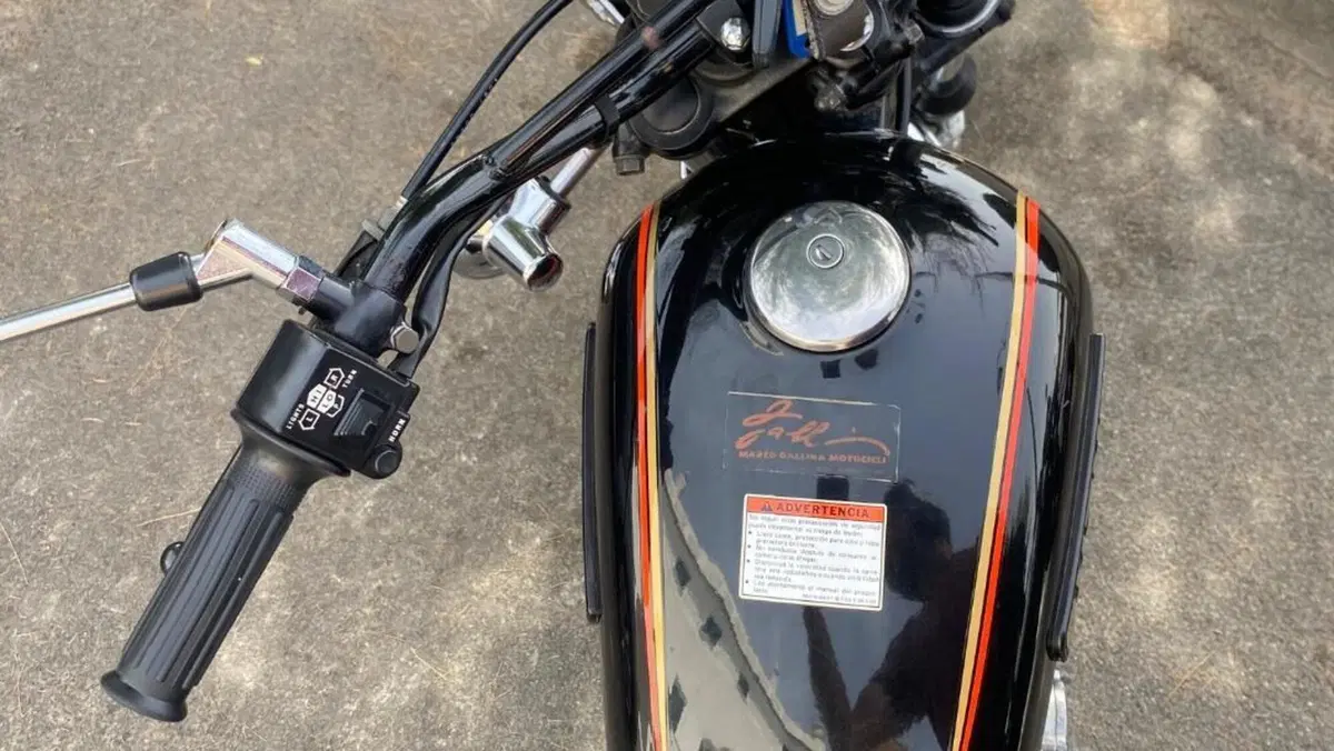 Suzuki   (6)