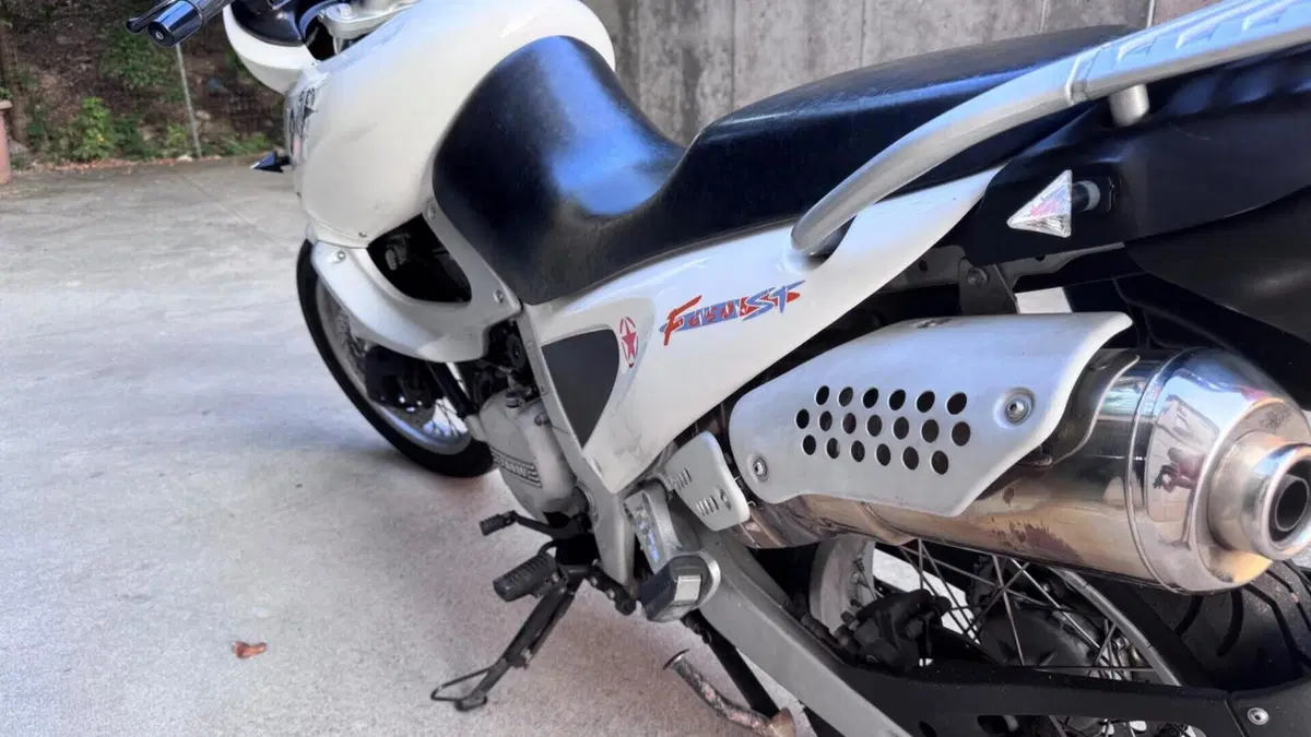 Bmw F 650 ST  (3)