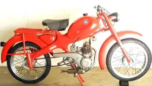 Motom   (19)