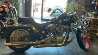 Harley-Davidson 1450 Standard (2002 - 05) - FXSTI usata