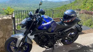 Yamaha MT-09 (2017 - 20)  (6)