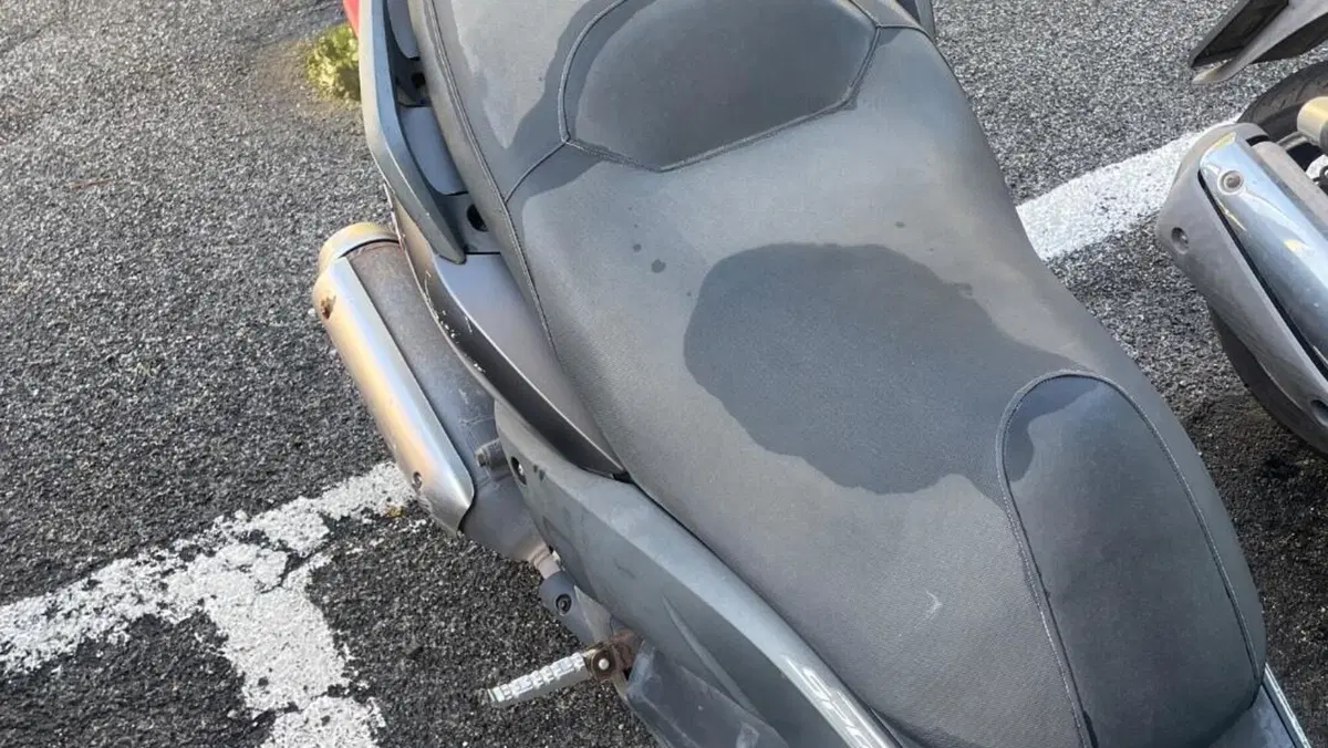 Yamaha X-Max 250 Sport (2011 - 13)  (4)