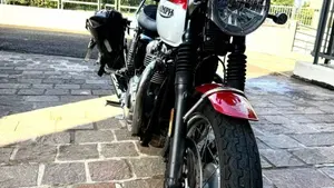 Triumph Bonneville T120 Bud Ekins SE (2020)  (2)