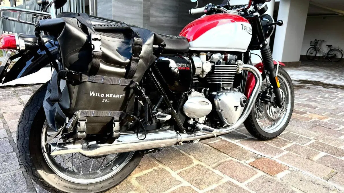 Triumph Bonneville T120 Bud Ekins SE (2020)  (3)