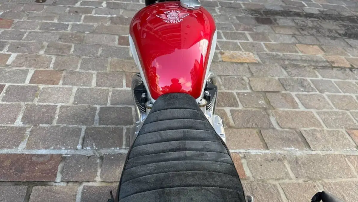 Triumph Bonneville T120 Bud Ekins SE (2020)  (4)