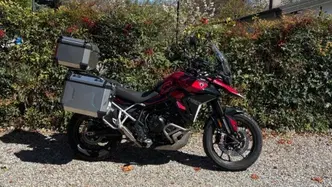Triumph Tiger 900 GT (2024 - 26) usata