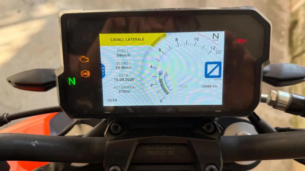 KTM 390 Duke ABS (2017 - 20)  (6)