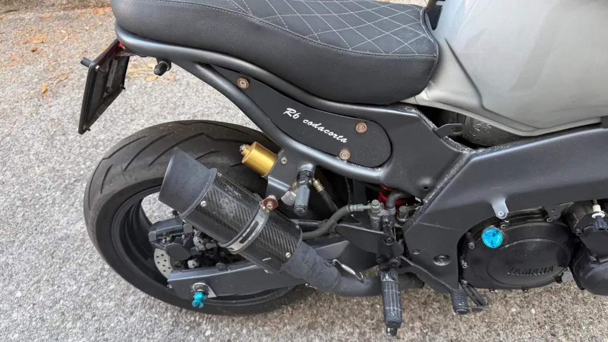 Yamaha YZF 600 R Thundercat  (2)