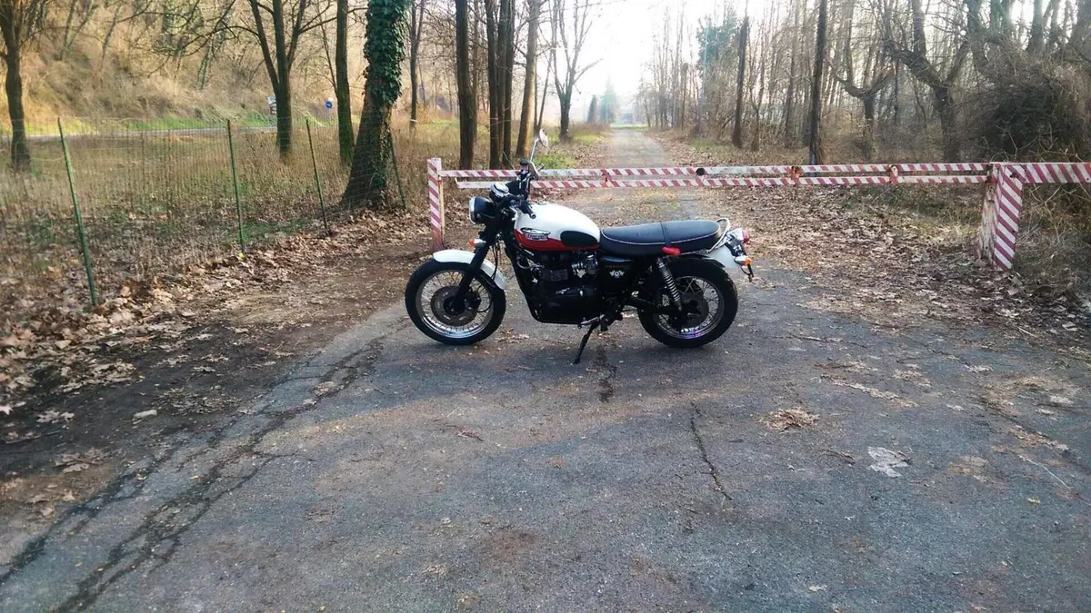 Triumph Scrambler (2006 - 17)  (12)