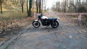 Triumph Scrambler (2006 - 17)  (12)