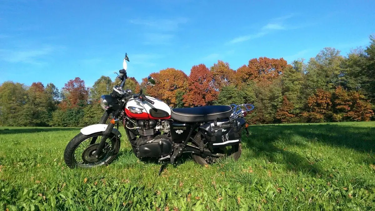 Triumph Scrambler (2006 - 17)  (13)