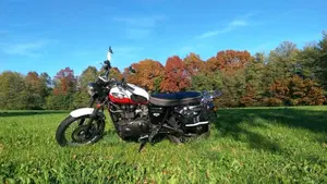 Triumph Scrambler (2006 - 17)  (13)