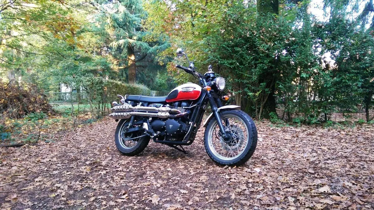 Triumph Scrambler (2006 - 17) 