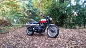 Triumph Scrambler (2006 - 17) 