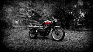 Triumph Scrambler (2006 - 17)  (15)