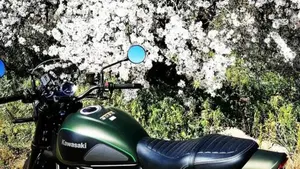 Kawasaki Z 900 RS (2018 - 20)  (9)