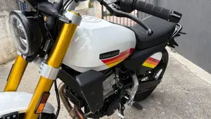 Fantic Motor Caballero 500 Scrambler (2025 - 26)  (14)