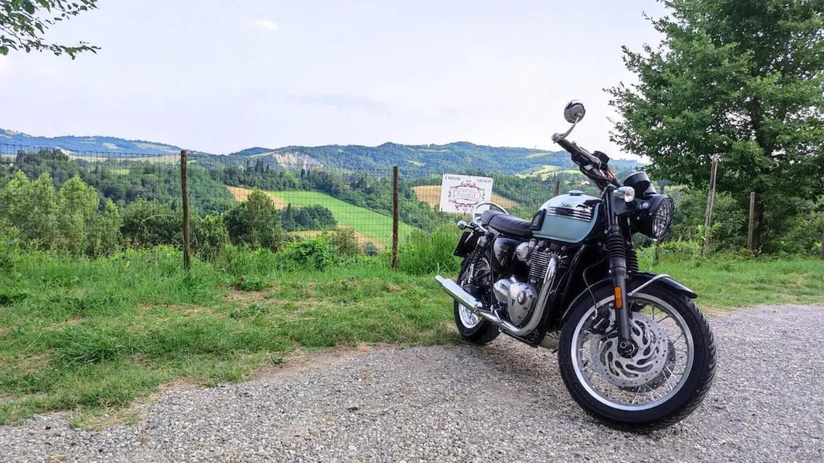 Triumph Bonneville T120 Chrome Edition (2023)  (2)