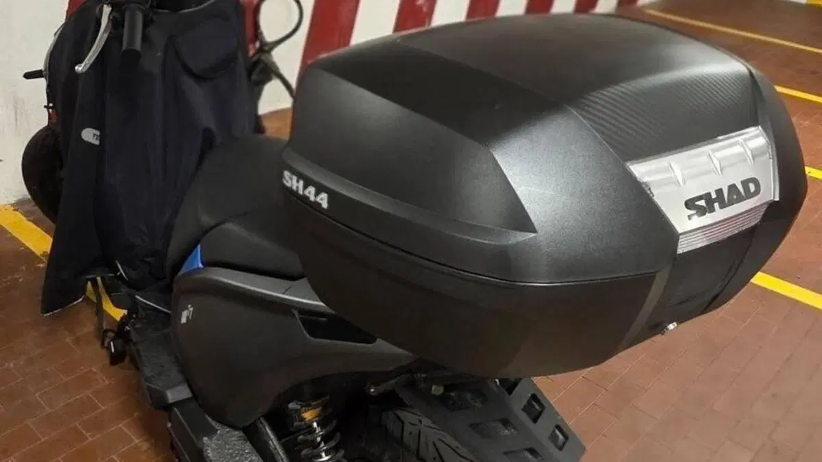 Ray 7.7 (2023 - 24)  (3)