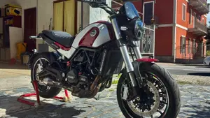 Benelli Leoncino 500 (2021 - 25)  (2)