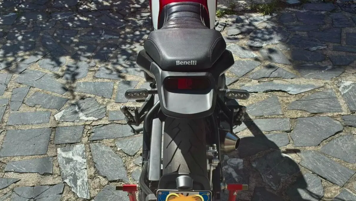 Benelli Leoncino 500 (2021 - 25)  (5)