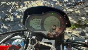 Benelli Leoncino 500 (2021 - 25)  (7)