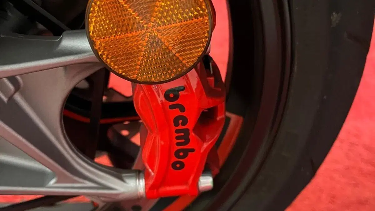 Ducati Multistrada V4 RS (2024 - 25)  (12)