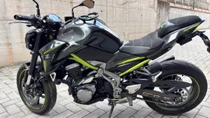 Kawasaki Z 900 Performance A2 (2019)  (8)