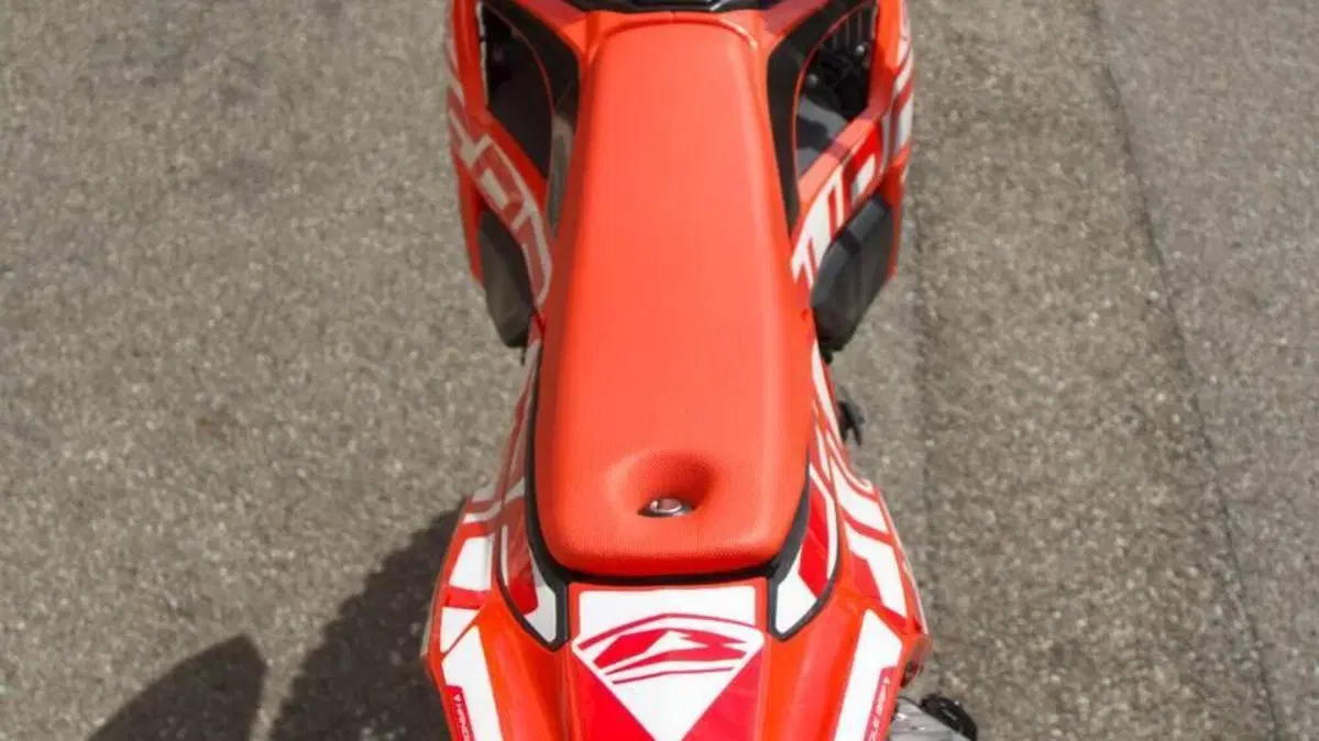 Betamotor RR 125 4T Enduro LC (2021 - 23)  (4)