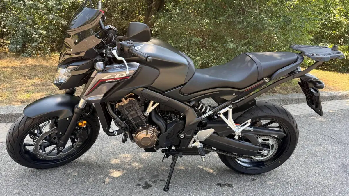 Honda CB 650 F (2017 - 18)  (2)